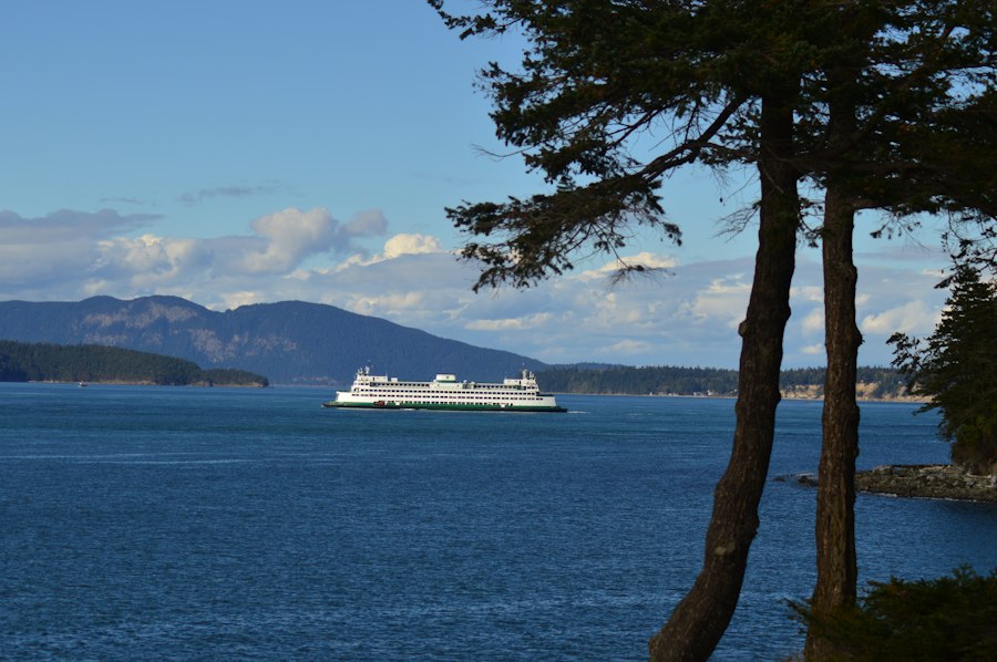 A white Washington State Ferry crossing between forested islands, framed by a Douglas fir