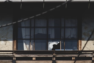 A shadowy figure glimpsed through the window of a centuries-old Thomasville mansion.