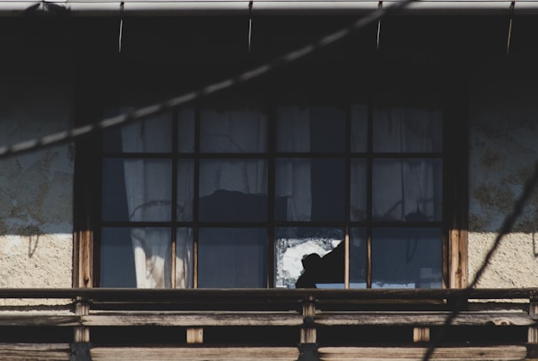 A shadowy figure glimpsed through the window of a centuries-old Thomasville mansion.