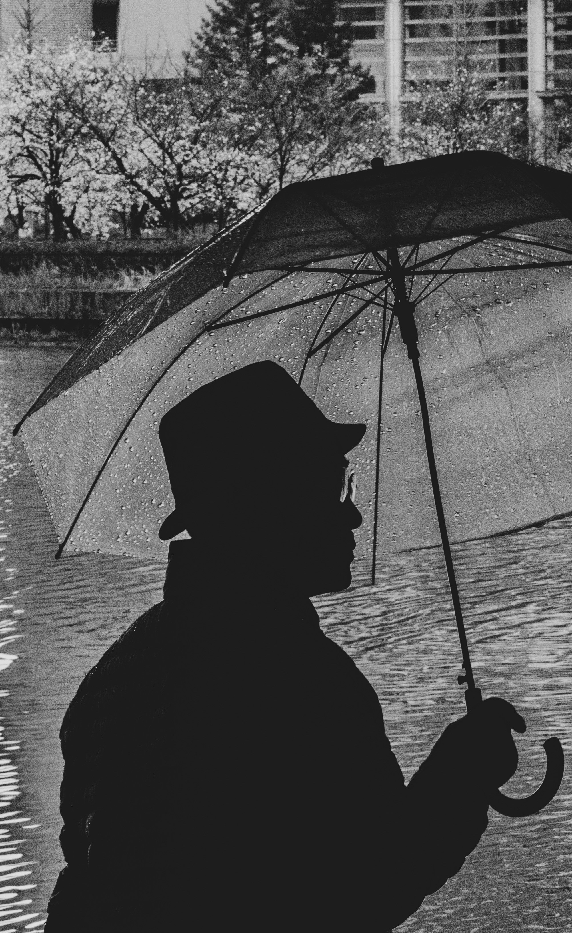 Photo by elcuervo
