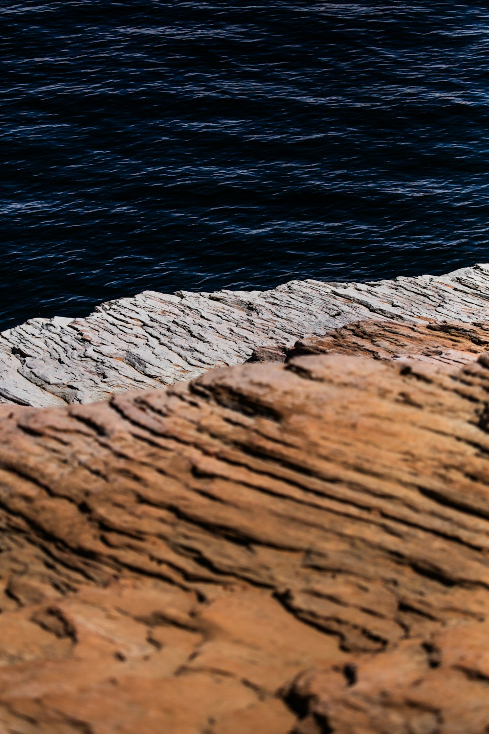 a bird is sitting on a rock by the water