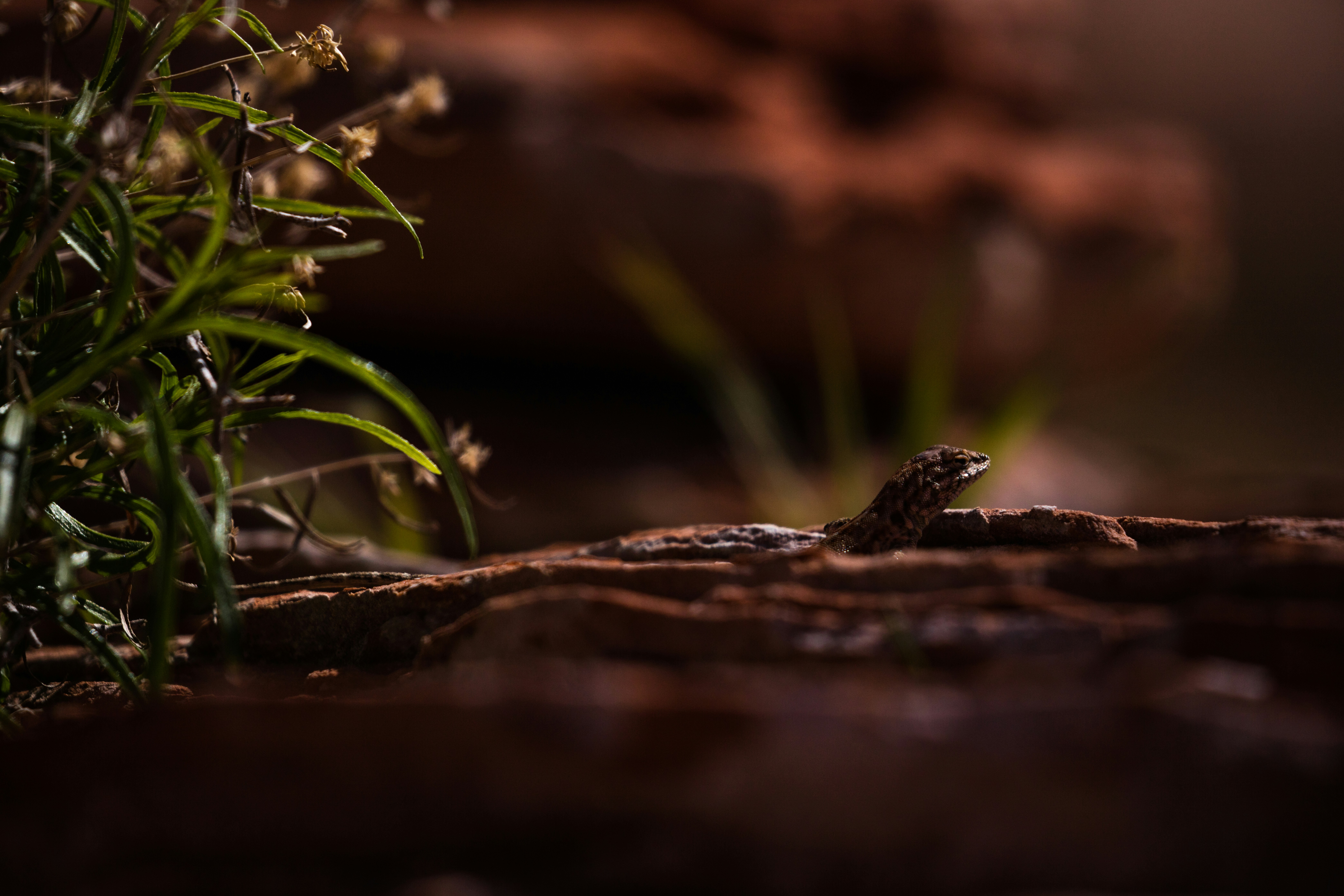 Photo by worldsbetweenlines