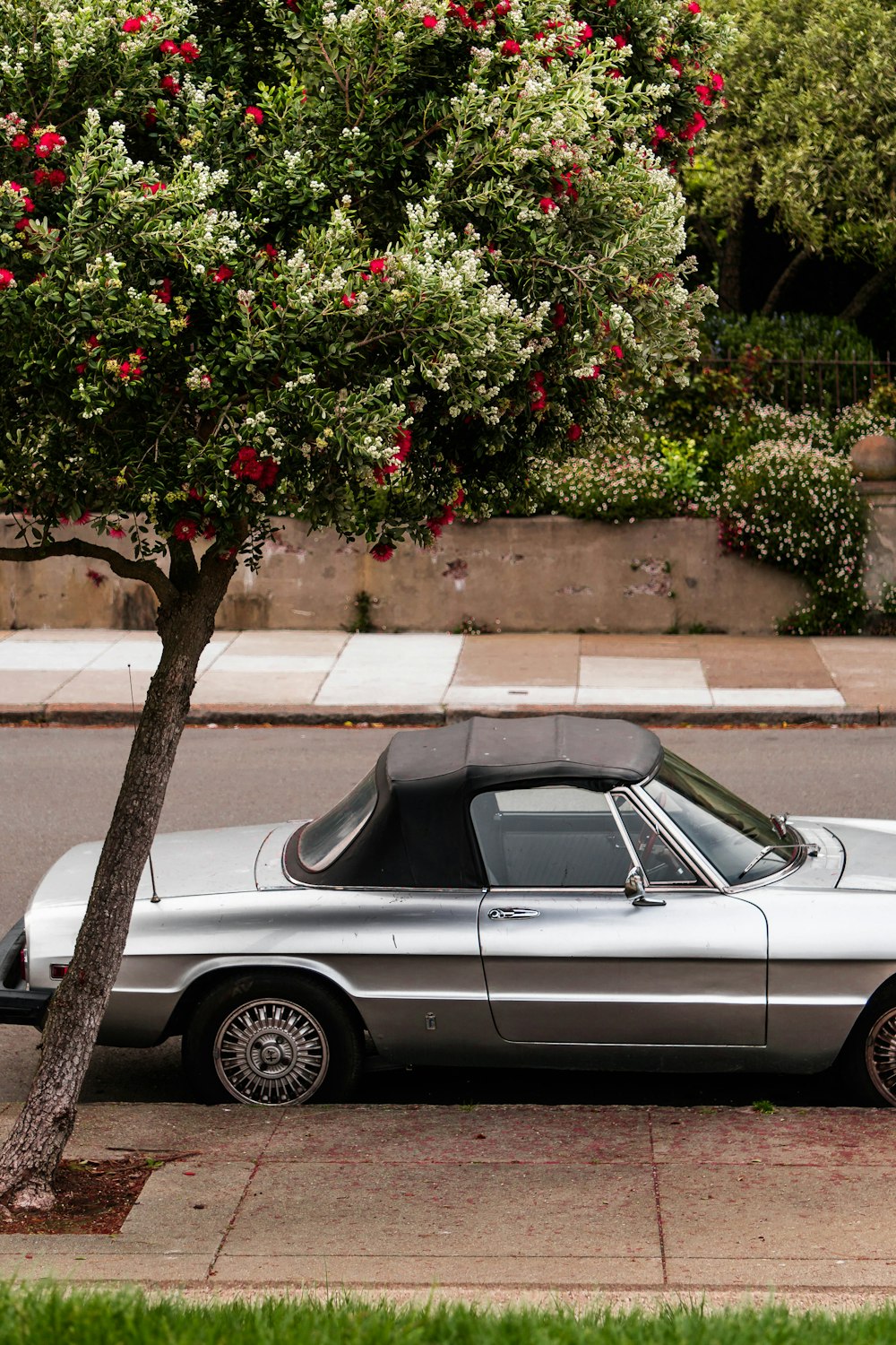 gray convertible coupe close-up photography