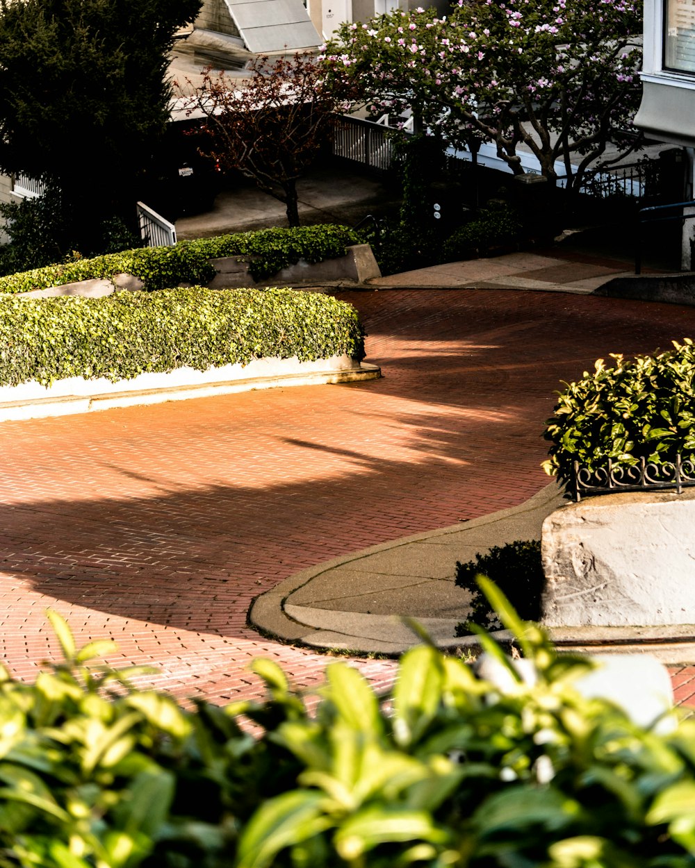 empty lot with plants during daytime