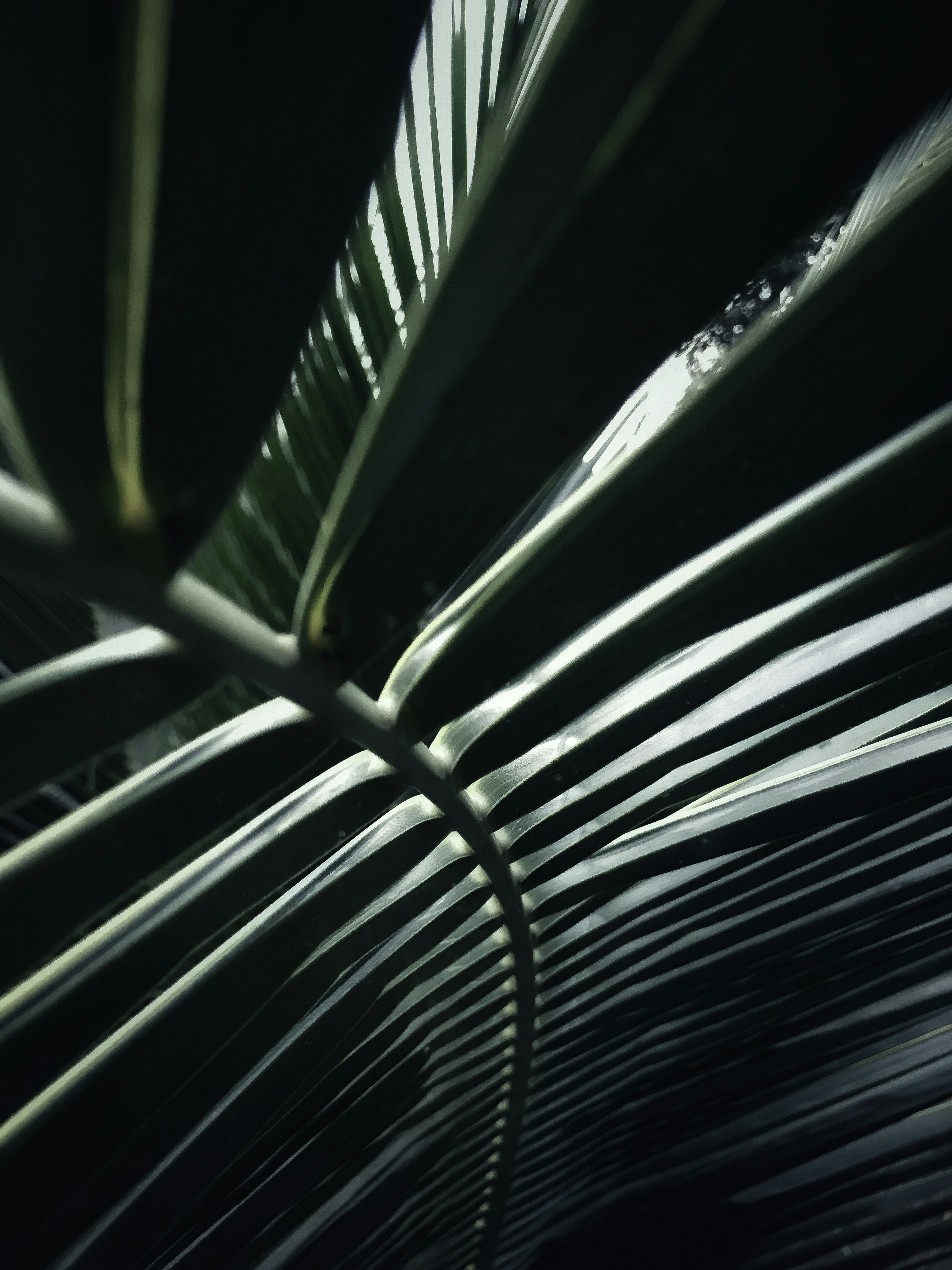 Photo by 13annabanana