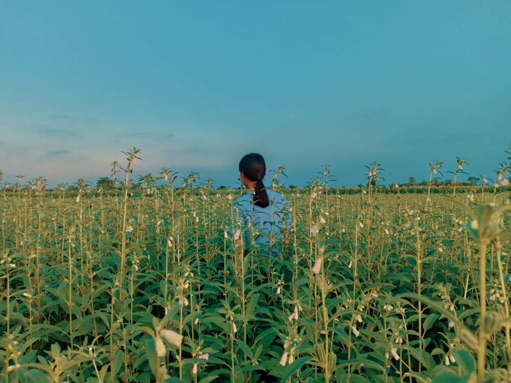 person in blue shirt standing on plant field