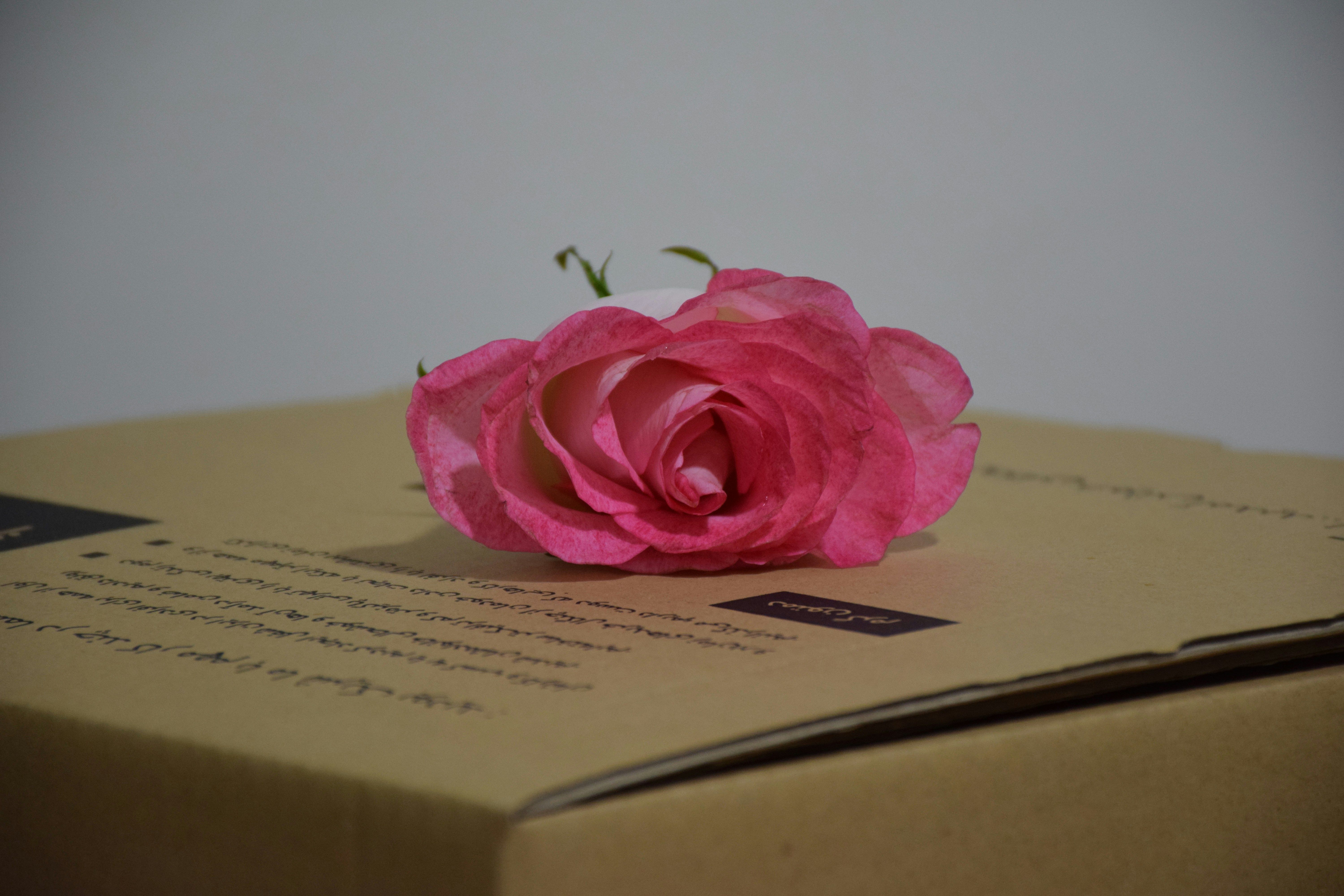 BoxBox باکس‌باکس (@boxbox) | Communauté photos Unsplash