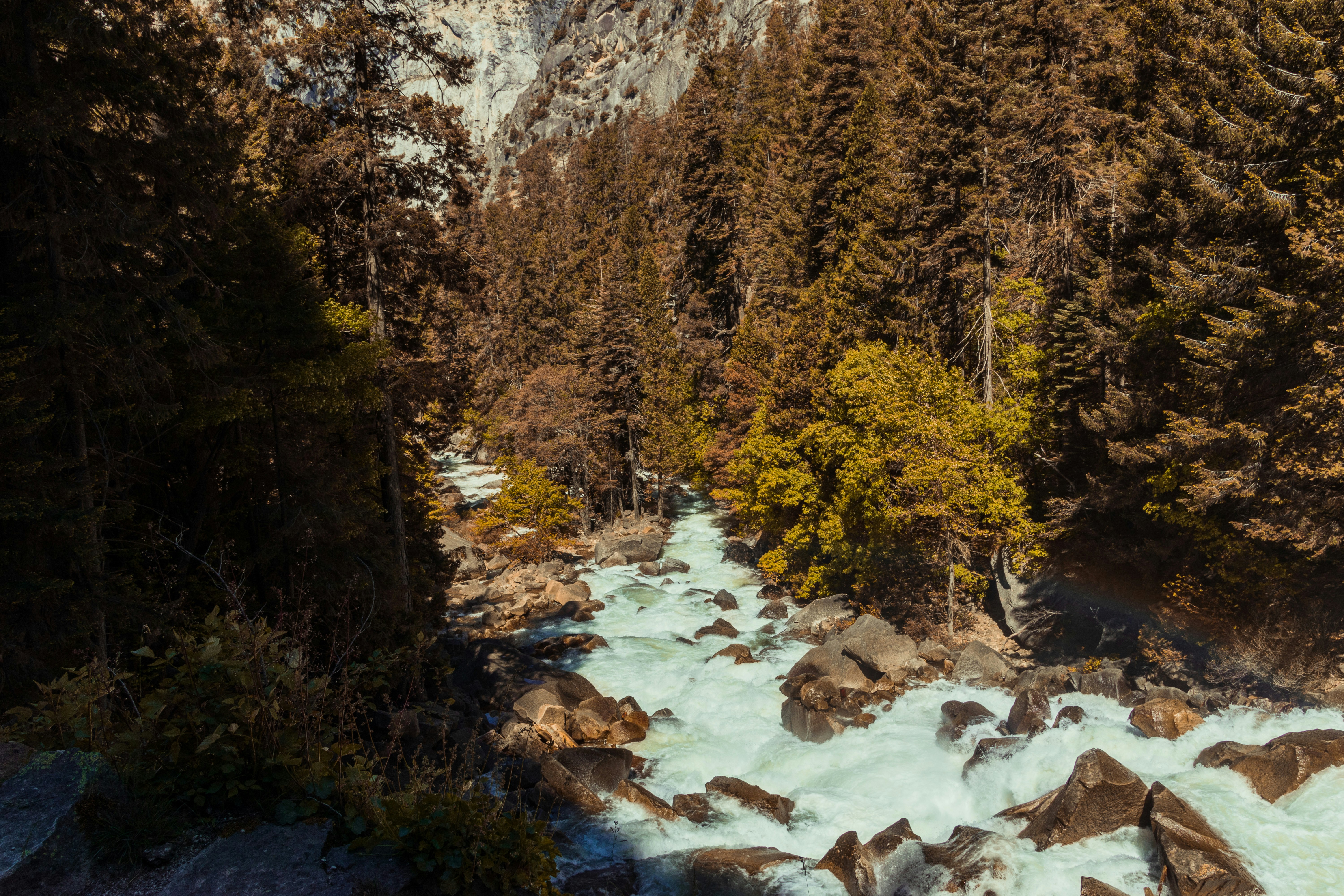 The Brewhouse District