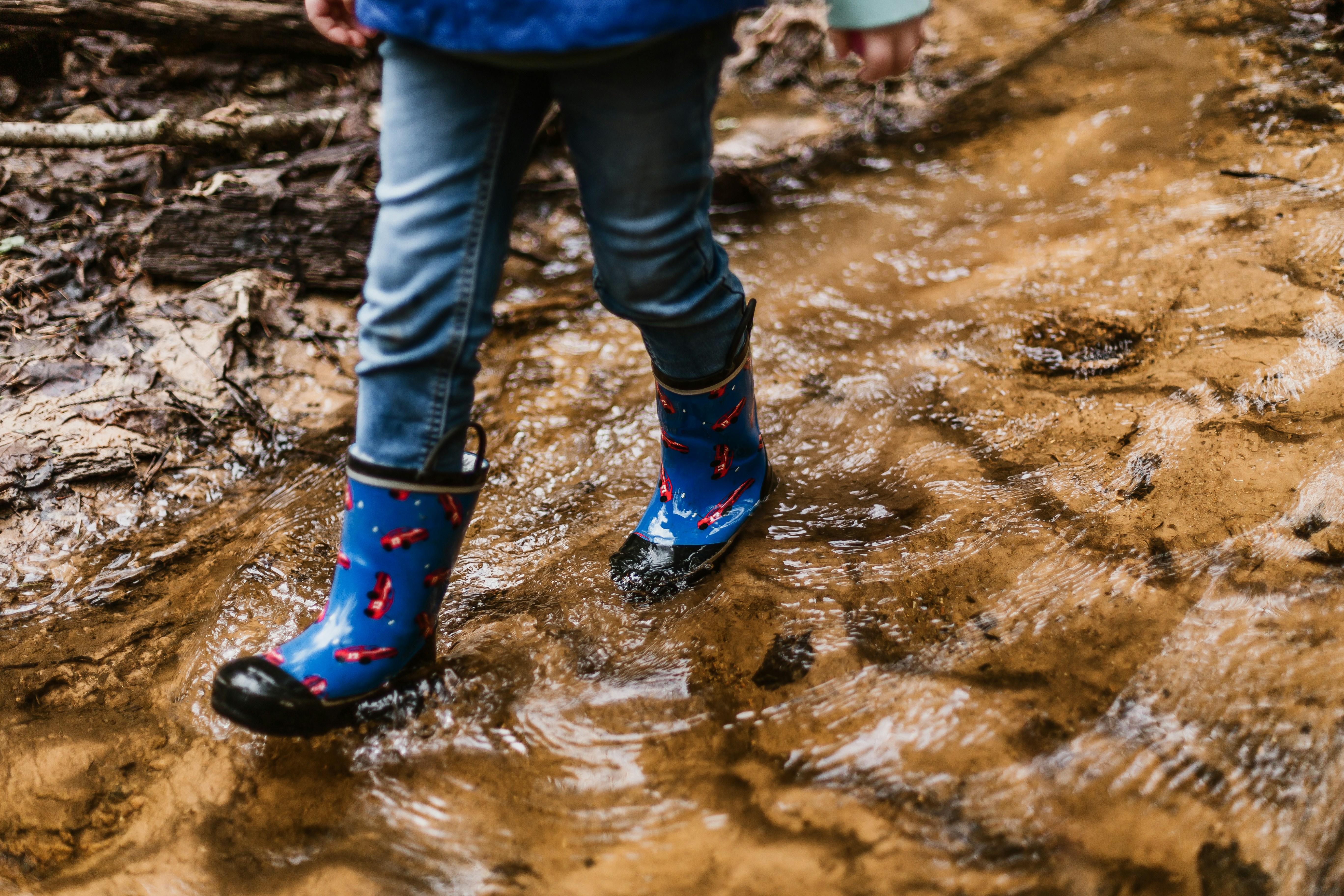Mud Puddle Pictures | Download Free Images on Unsplash