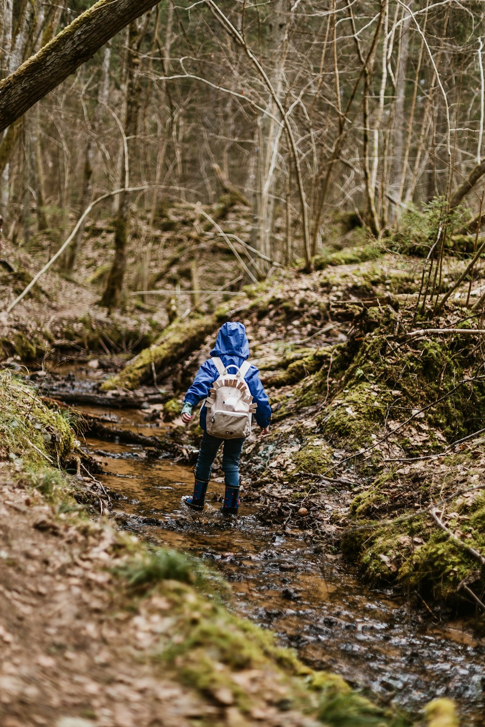 person walking on stream near trees during daytime