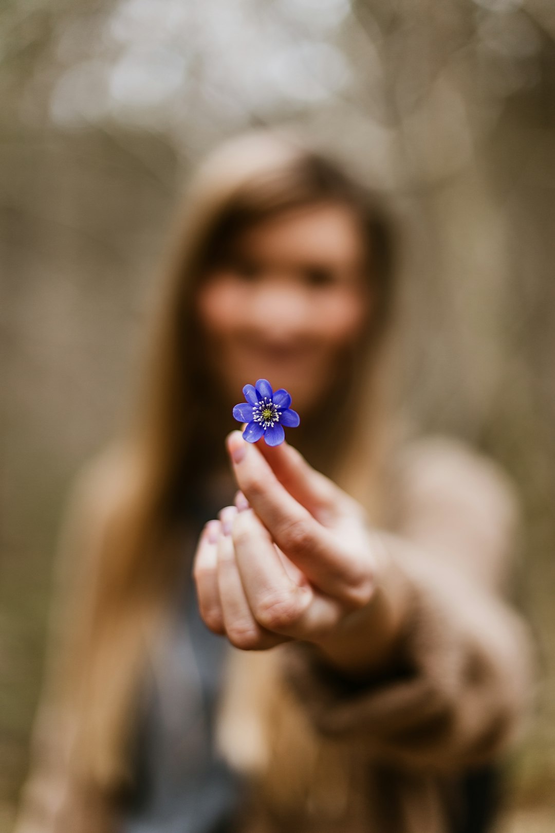woman holding blue petaled flower