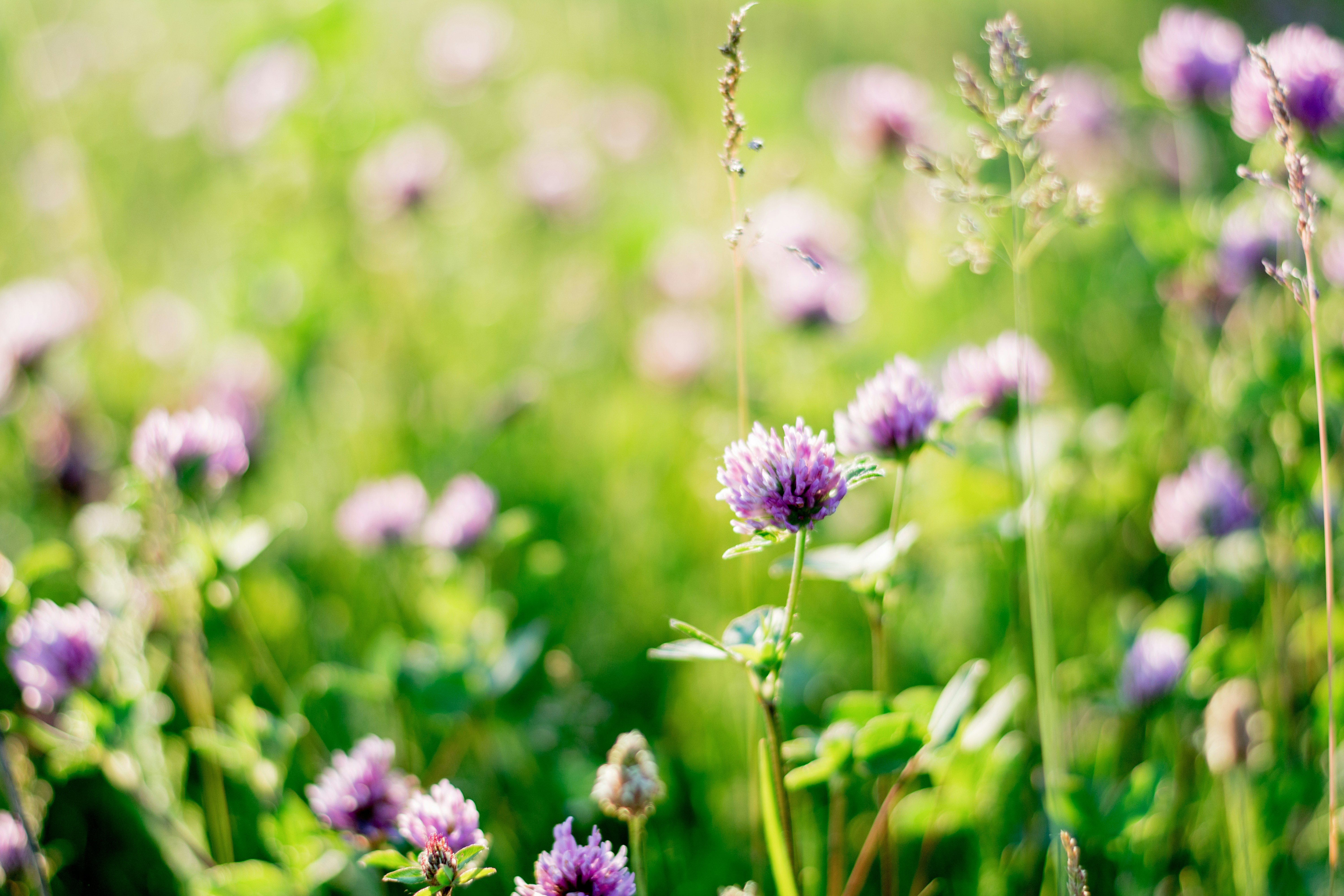 Photo by eugenivy_now