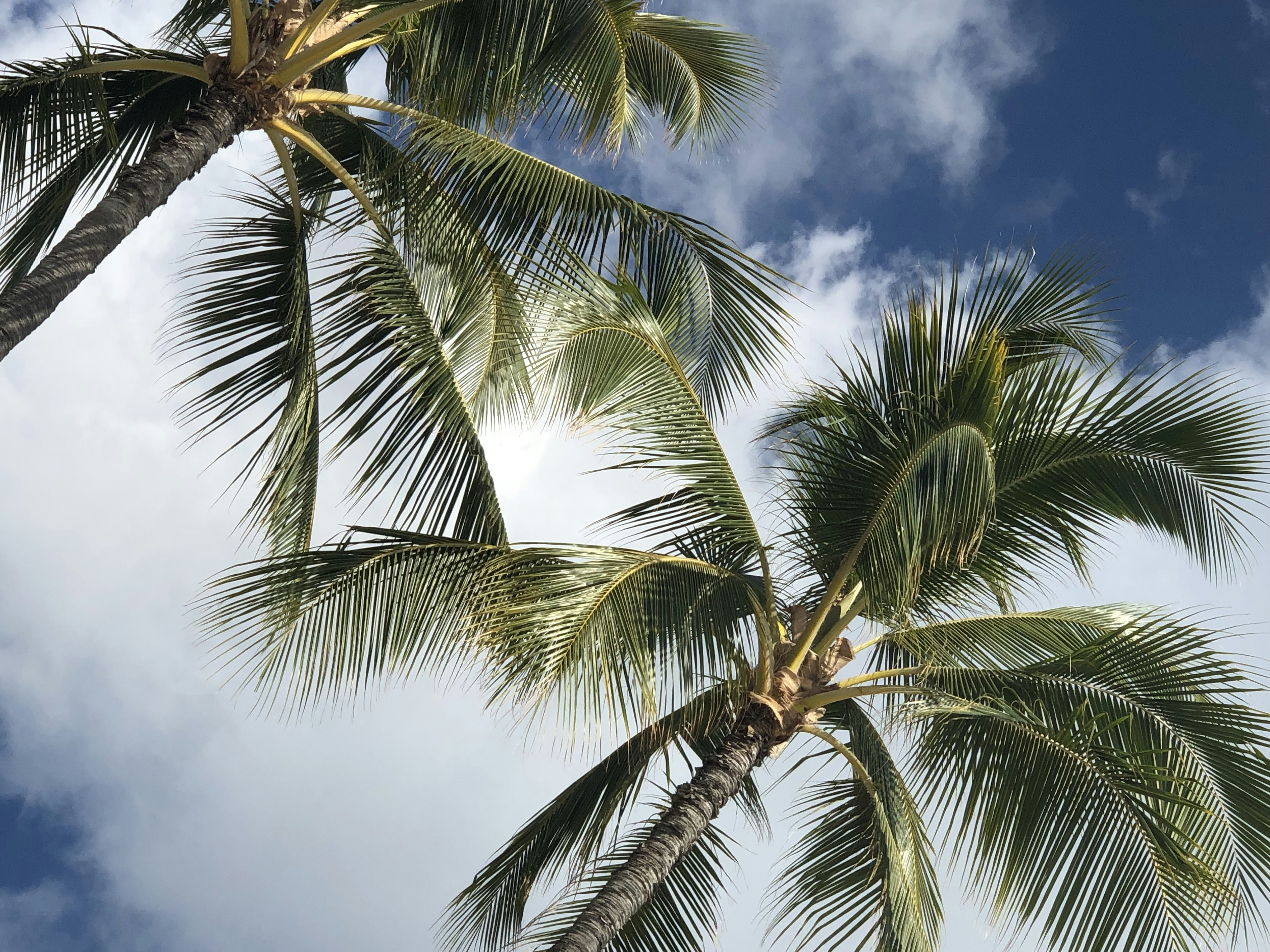 Photo by rebeccamarie_0603