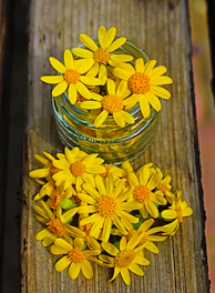 A small glass jar filled with bright pollen granules beside fresh flowers.