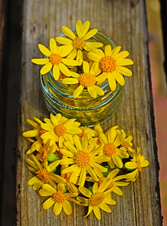 Bright and cheerful floral centerpiece with sunflowers and wildflowers in a glass jar