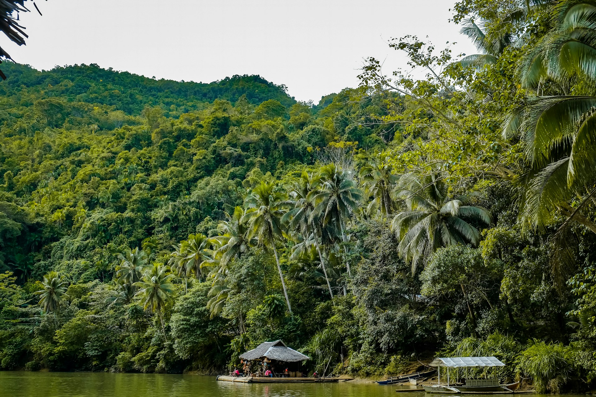 An idyllic riverside scene with lush green vegetation, including tall coconut palms lining the riverbank. A thatched-roof hut is situated on a wooden raft on the river, with several people visible inside. The surrounding area is dense with tropical plants, contributing to a serene and natural atmosphere.