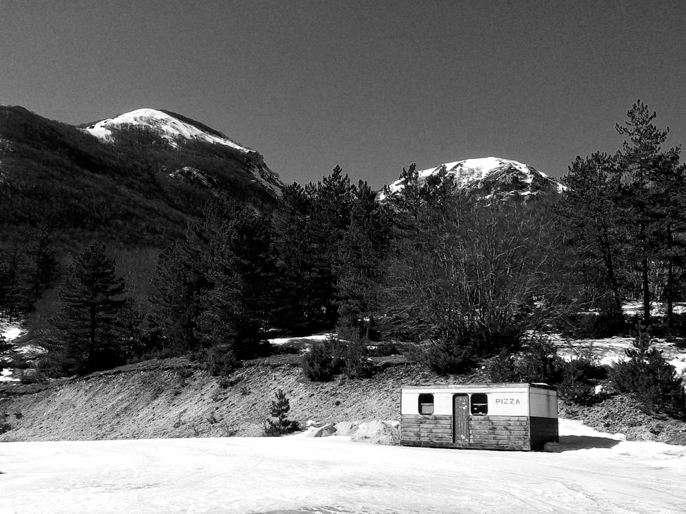 grayscale photo of green trees