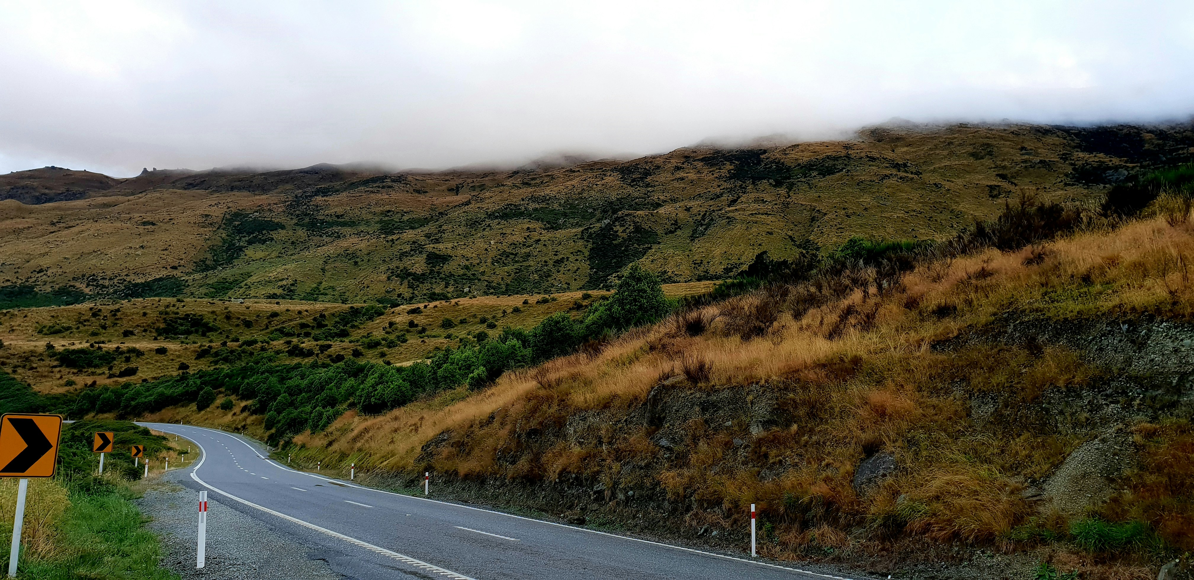 Image by Zoltan Kovacs via Unsplash