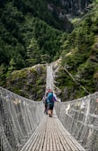 people walking on grey rope bridge during daytime