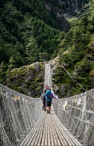 people walking on grey rope bridge during daytime