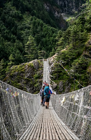 people walking on grey rope bridge during daytime