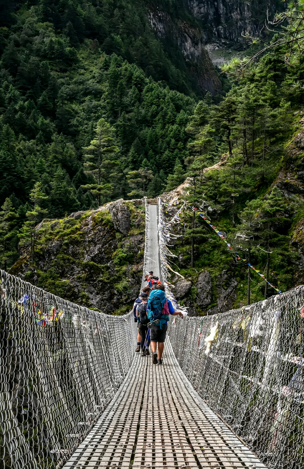 people walking on grey rope bridge during daytime