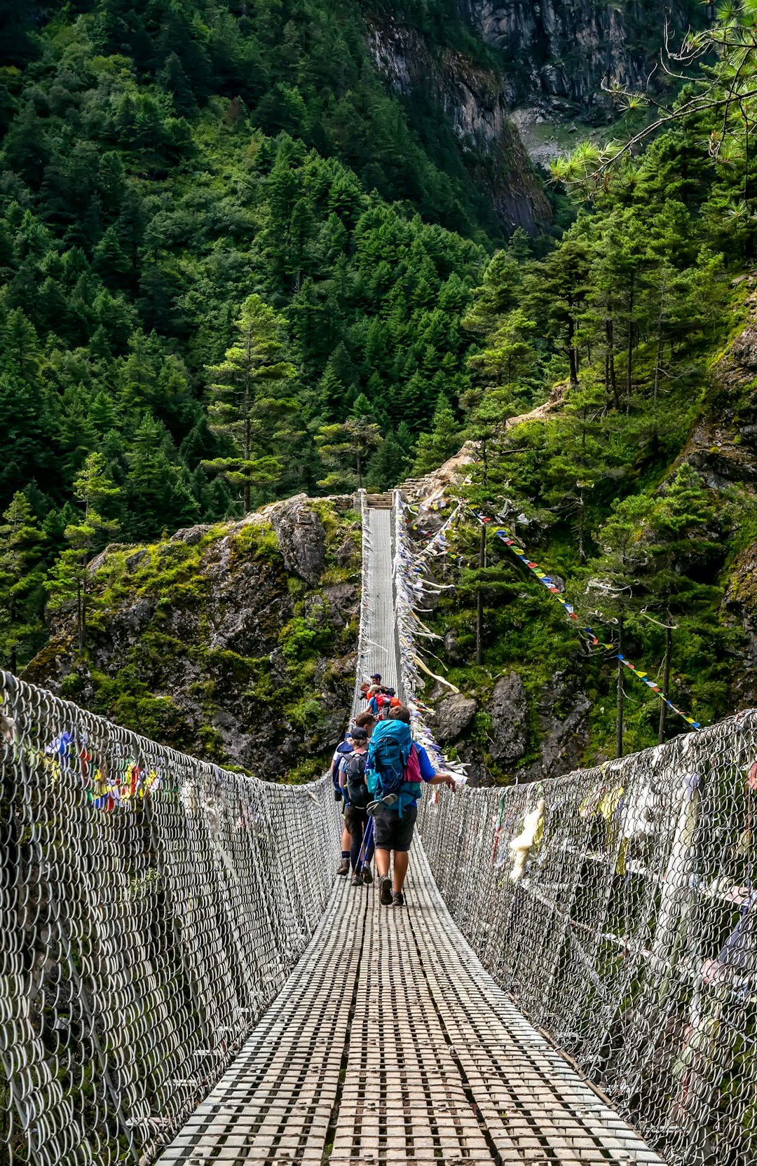 people walking on grey rope bridge during daytime