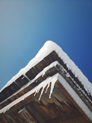A satisfied homeowner standing in front of their ice-free roof.