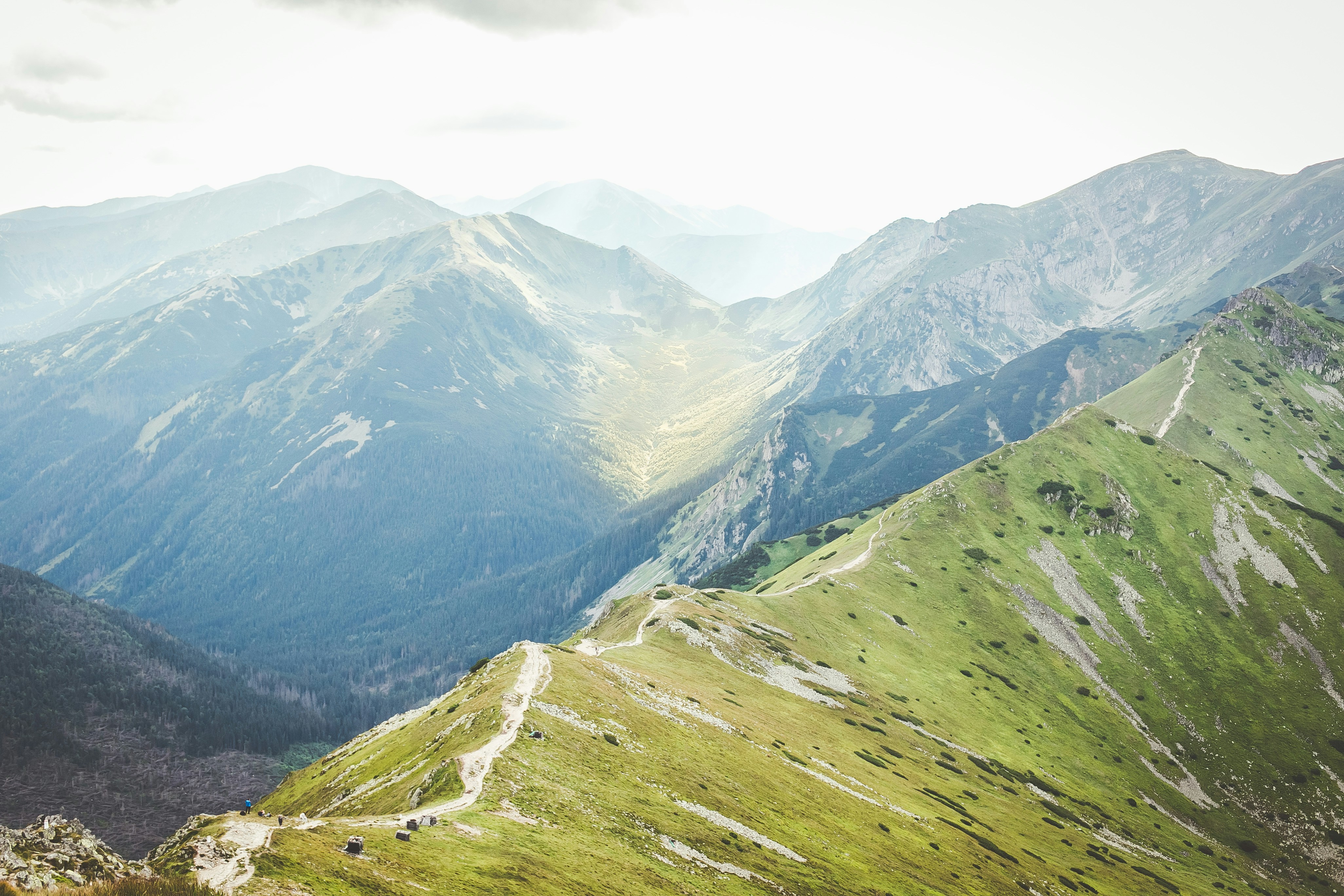 Photo by eugenezhyvchik