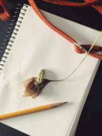 A spiral notebook with blank pages is placed on a dark surface. A dried brown flower with a long stem and yellow petals is resting atop the notebook. A wooden pencil with an eraser is positioned along the edge of the notebook. Red-orange leather straps are draped over the top corner, partially covering the notebook.
