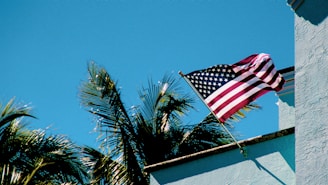 An American flag is mounted on a light blue stucco building, fluttering in the wind against a clear blue sky. In the foreground, palm trees with lush green fronds are visible, suggesting a warm climate.