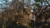 A solitary, ornate wooden gazebo with a domed roof is nestled among tall, leafless trees and dense foliage, creating a secluded and tranquil atmosphere. The structure's intricate design contrasts with the natural, somewhat wild surroundings.