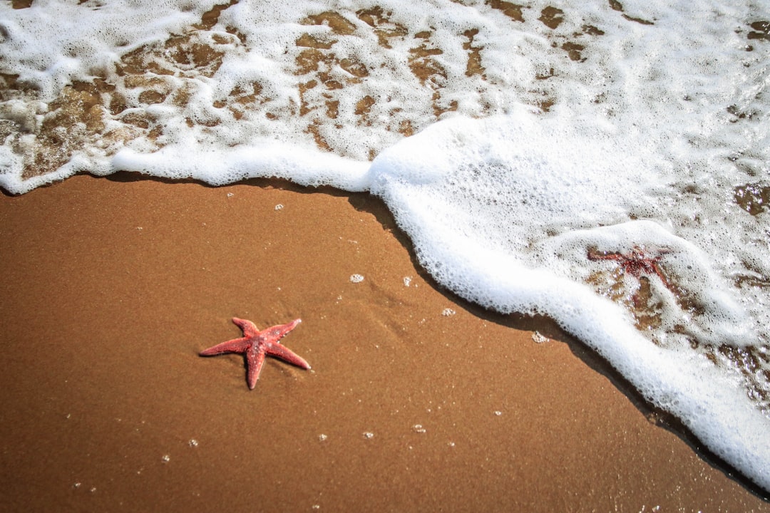 Beach photo spot Jard-sur-Mer La Faute-sur-Mer