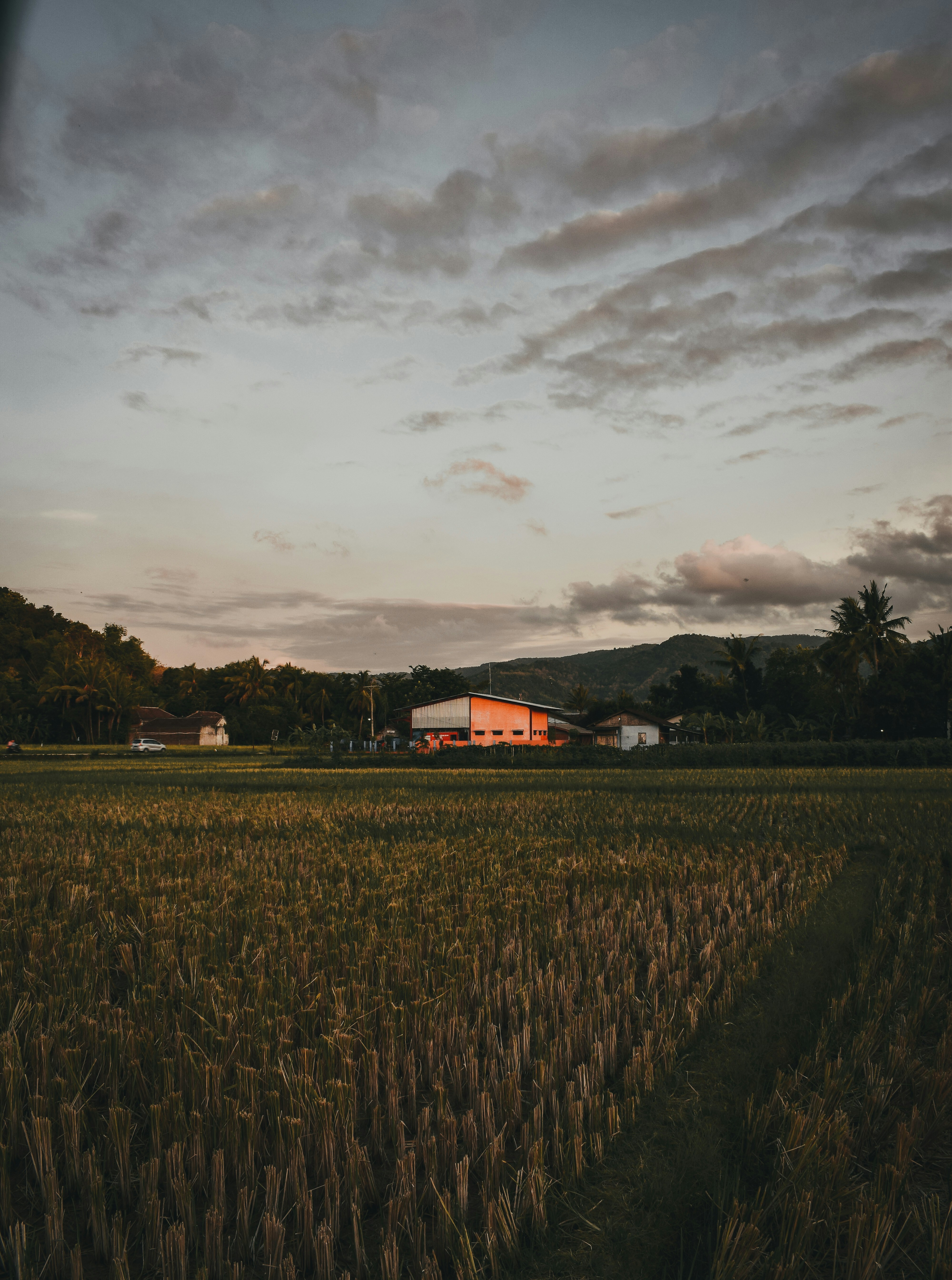 green field during daytime