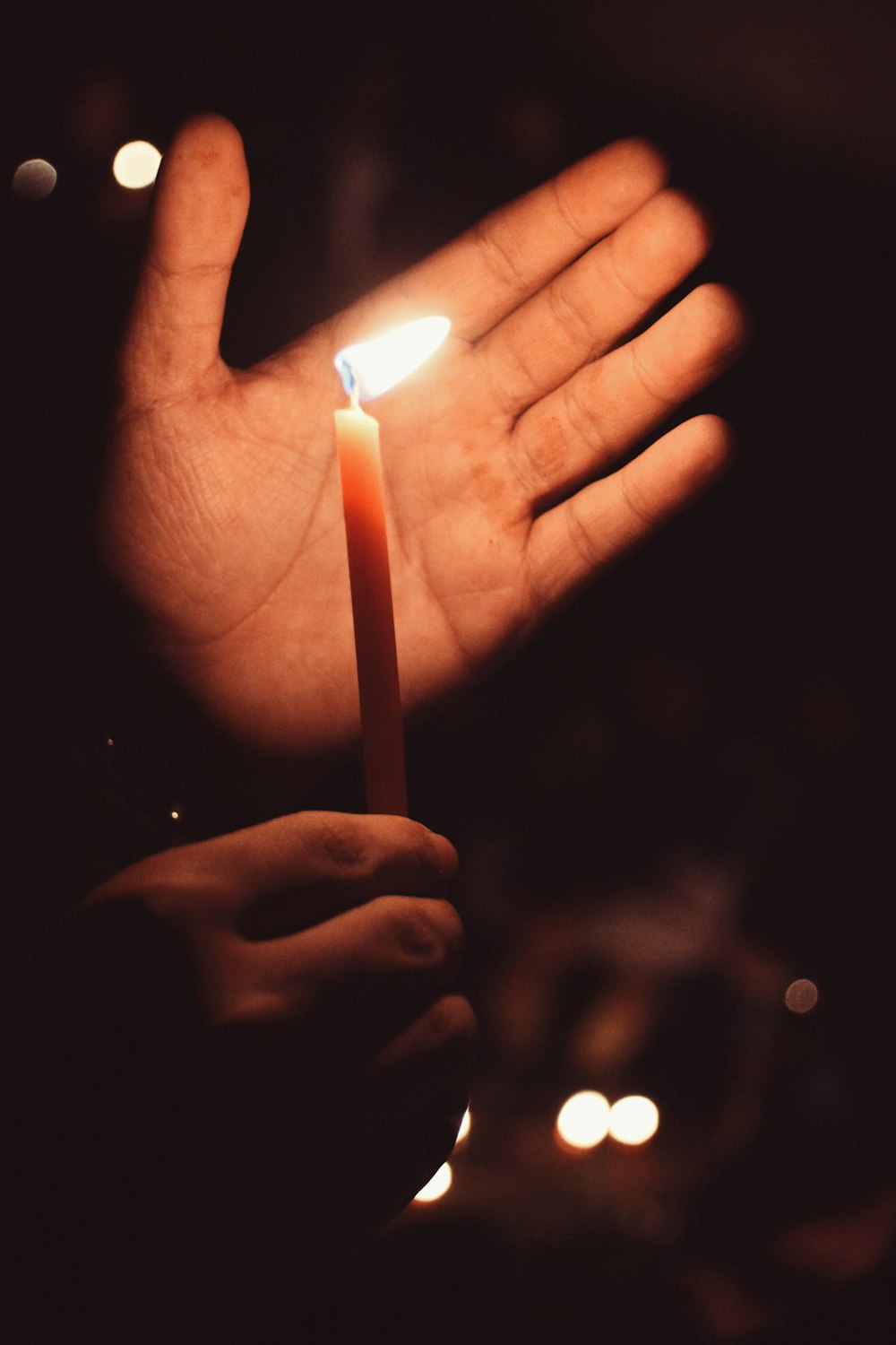 person holding lit candle near palm