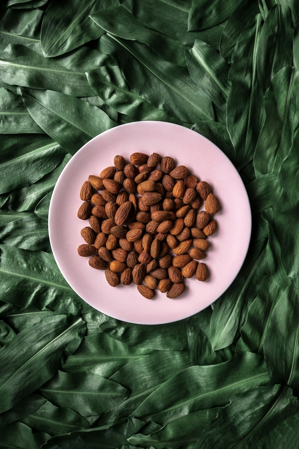 nueces marrones sobre plato de cerámica blanca