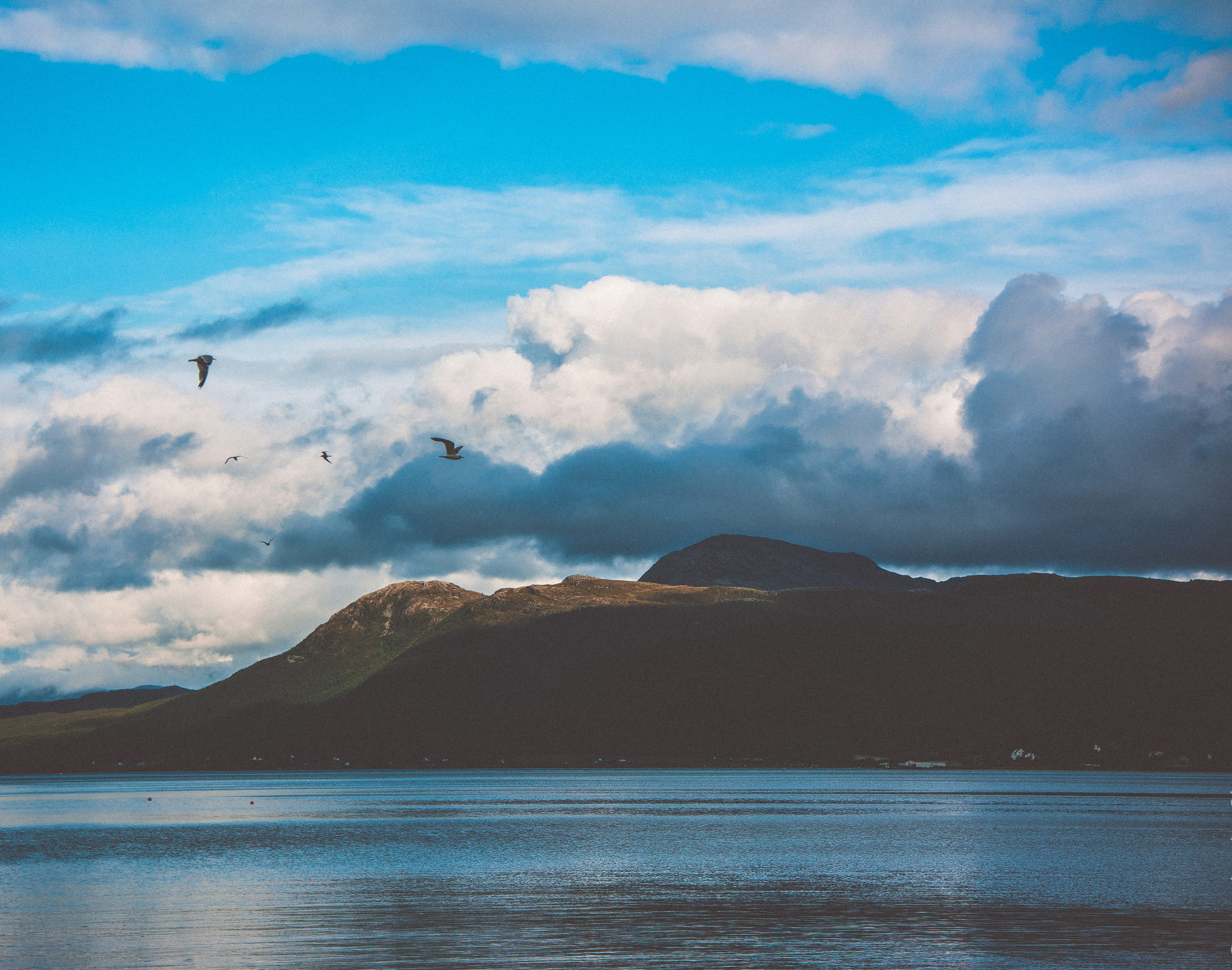 Photo by mrstupachenko