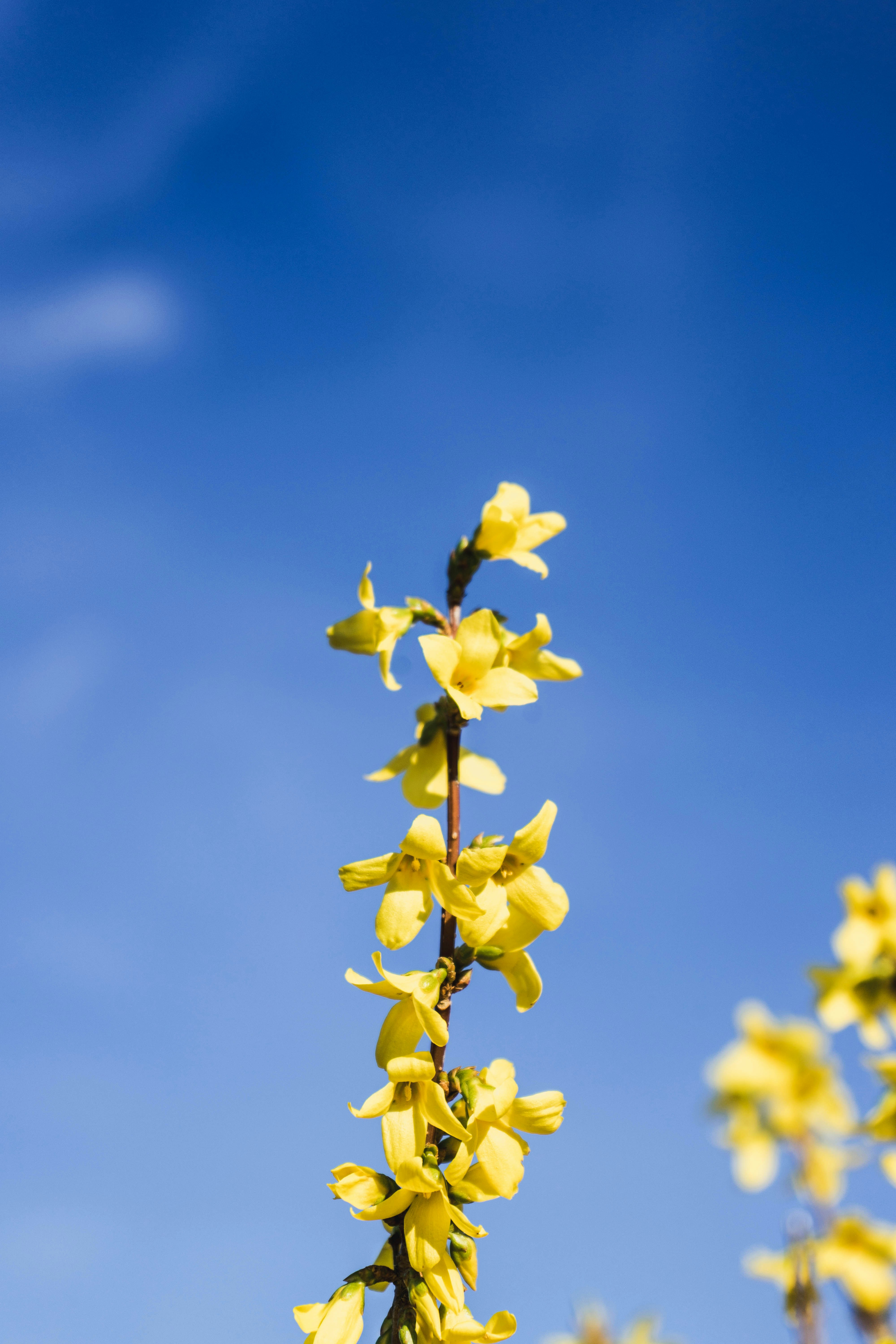 Photo by virussinside