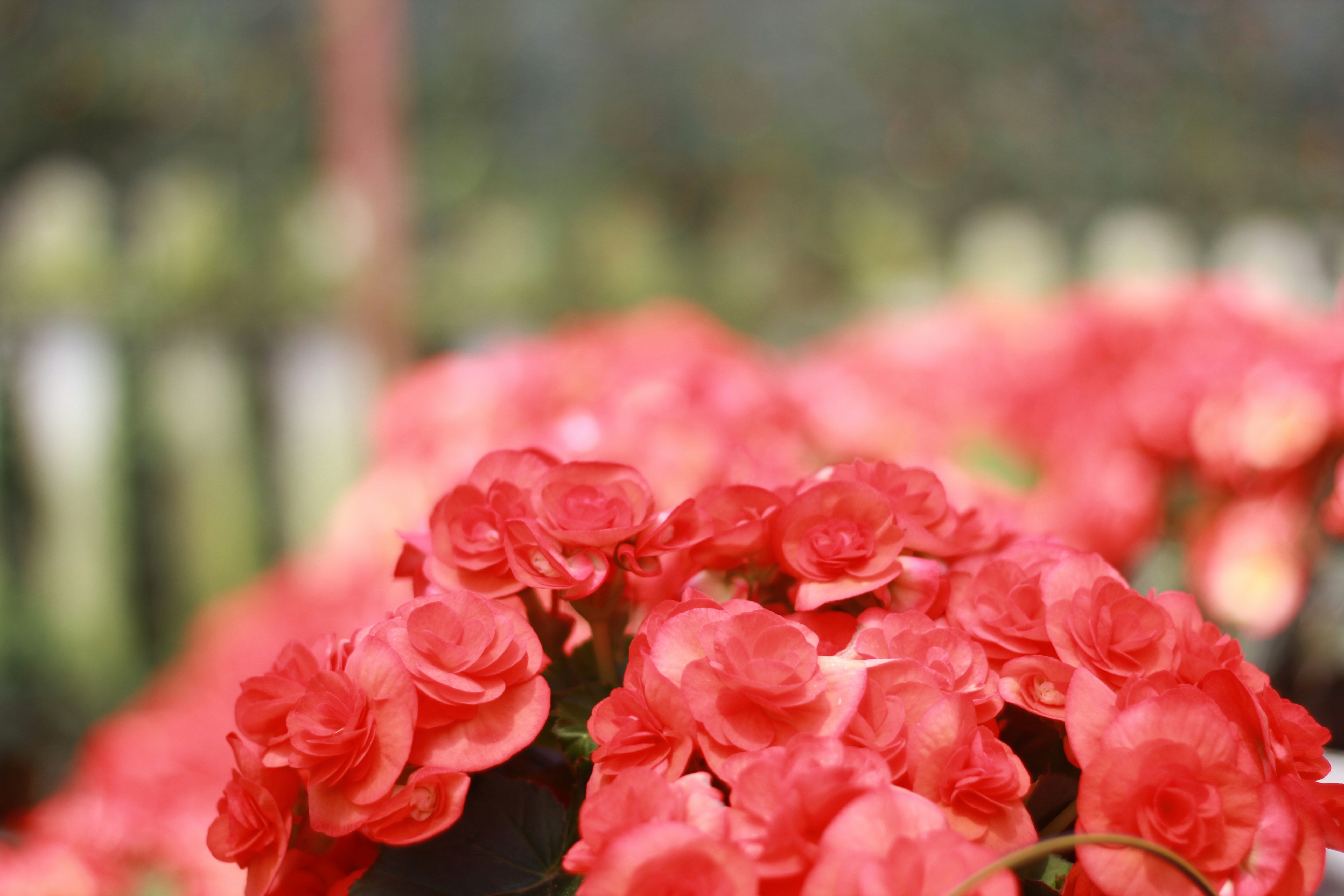 Photo by mohdamiruddin127