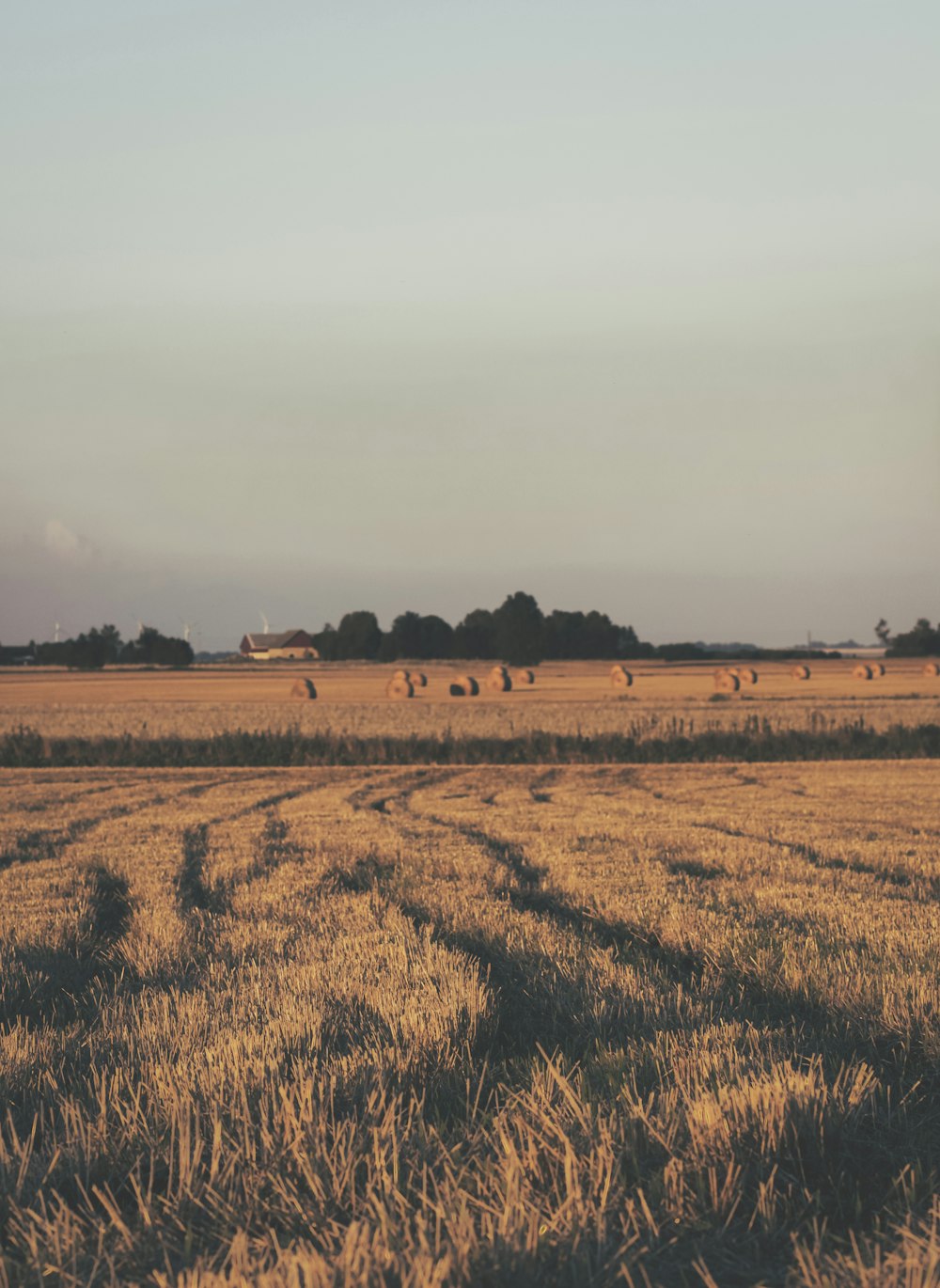 brown fields under cloudy sky during daytime