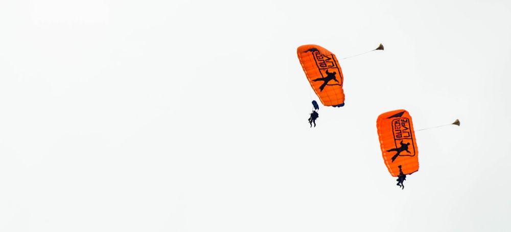 two persons paragliding