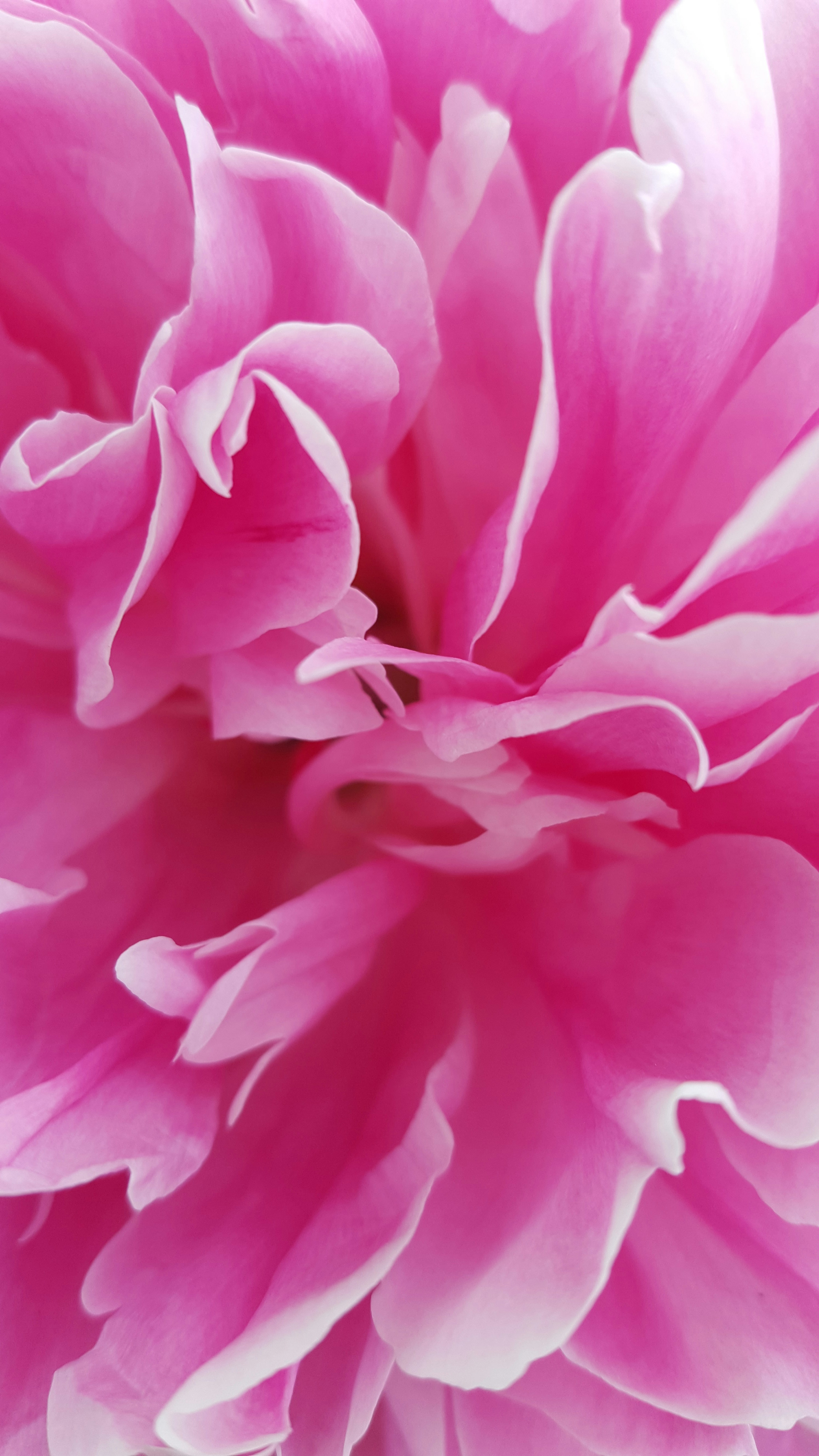 Photo by christinahr