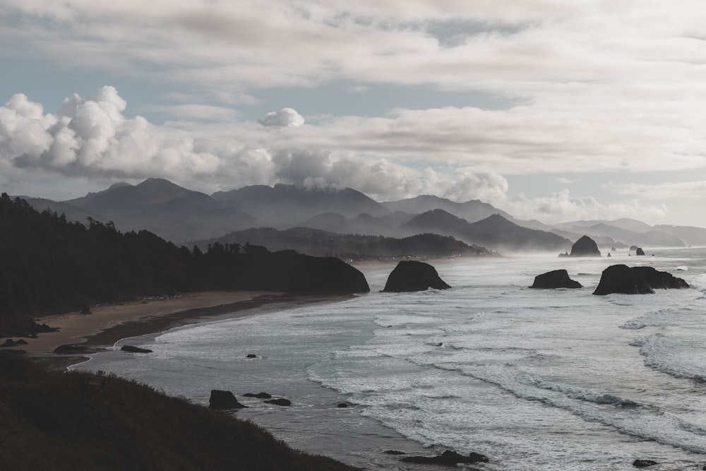 árvores perto da praia durante o dia