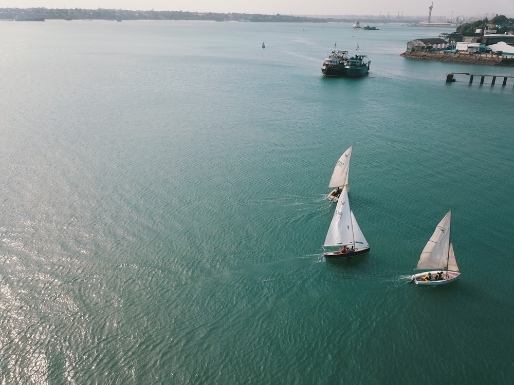 three white sailboats on body of water during daytime