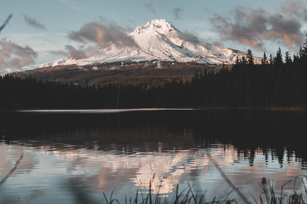 calm body of water