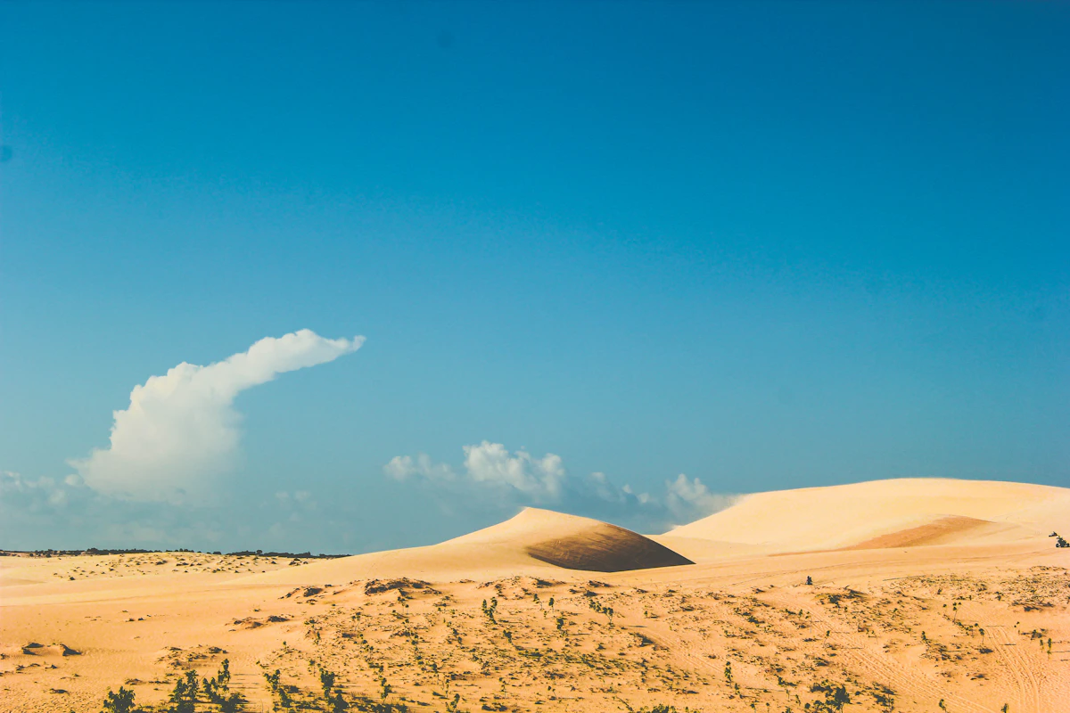 Bau Trang White Sand Dunes Mui Ne at Sunrise
