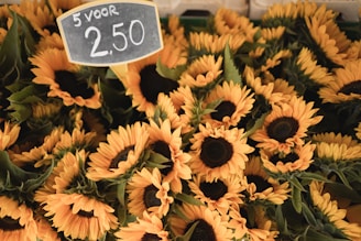 A vibrant display of sunflowers arranged closely together with their large yellow petals and dark centers. A small chalkboard sign is visible, displaying a price in euros.
