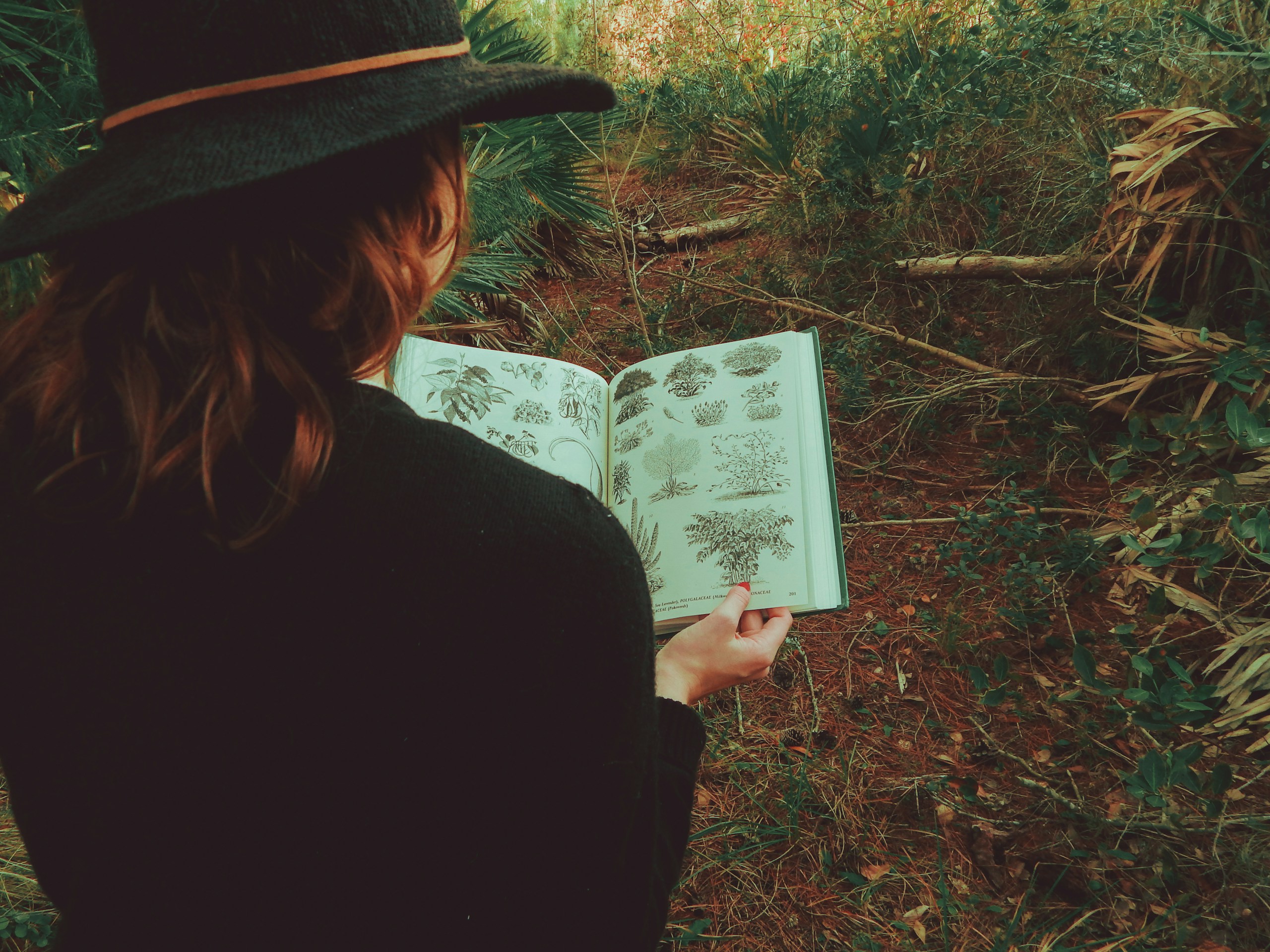 woman consulting nature guide on trail