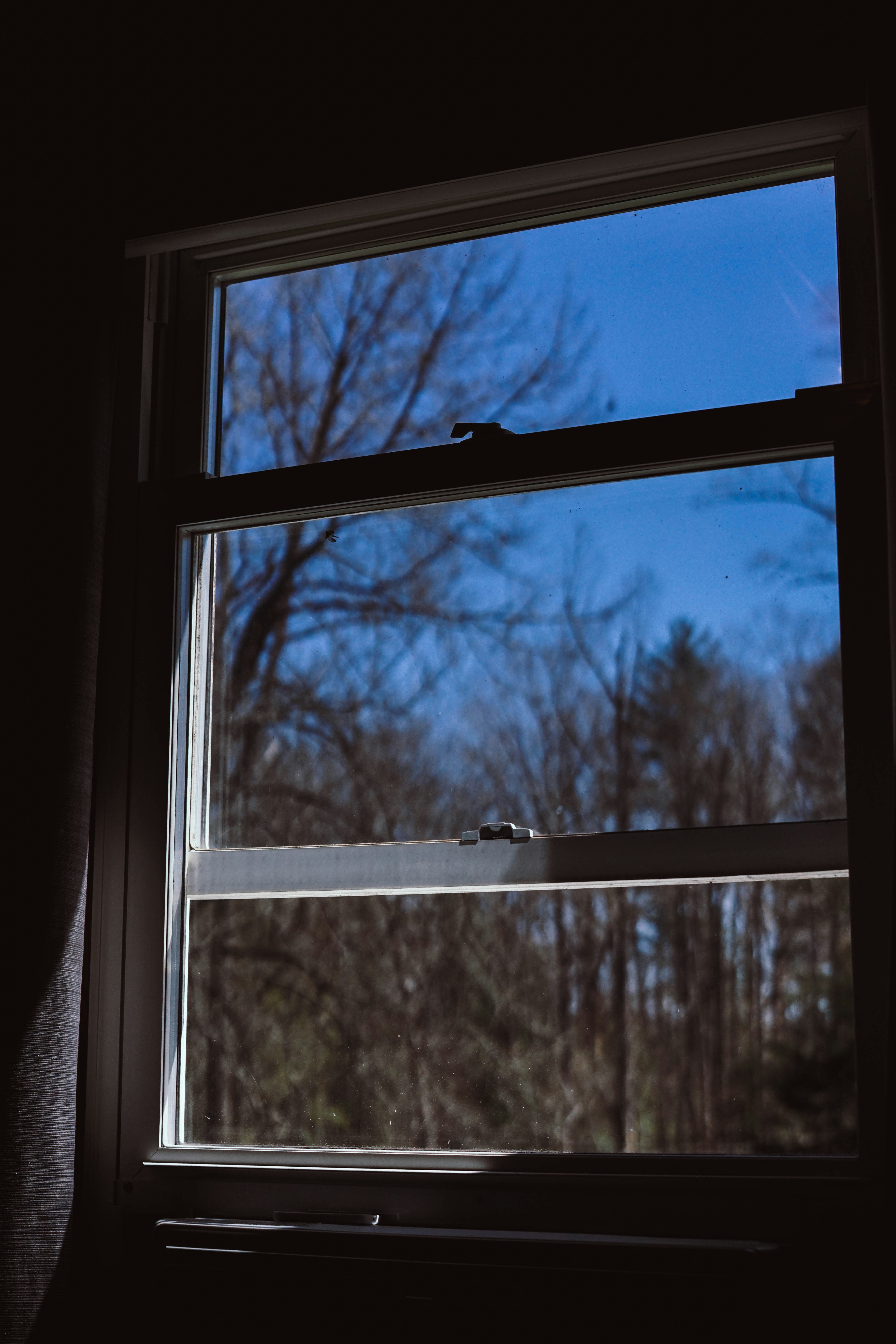 Photo by taiscaptures