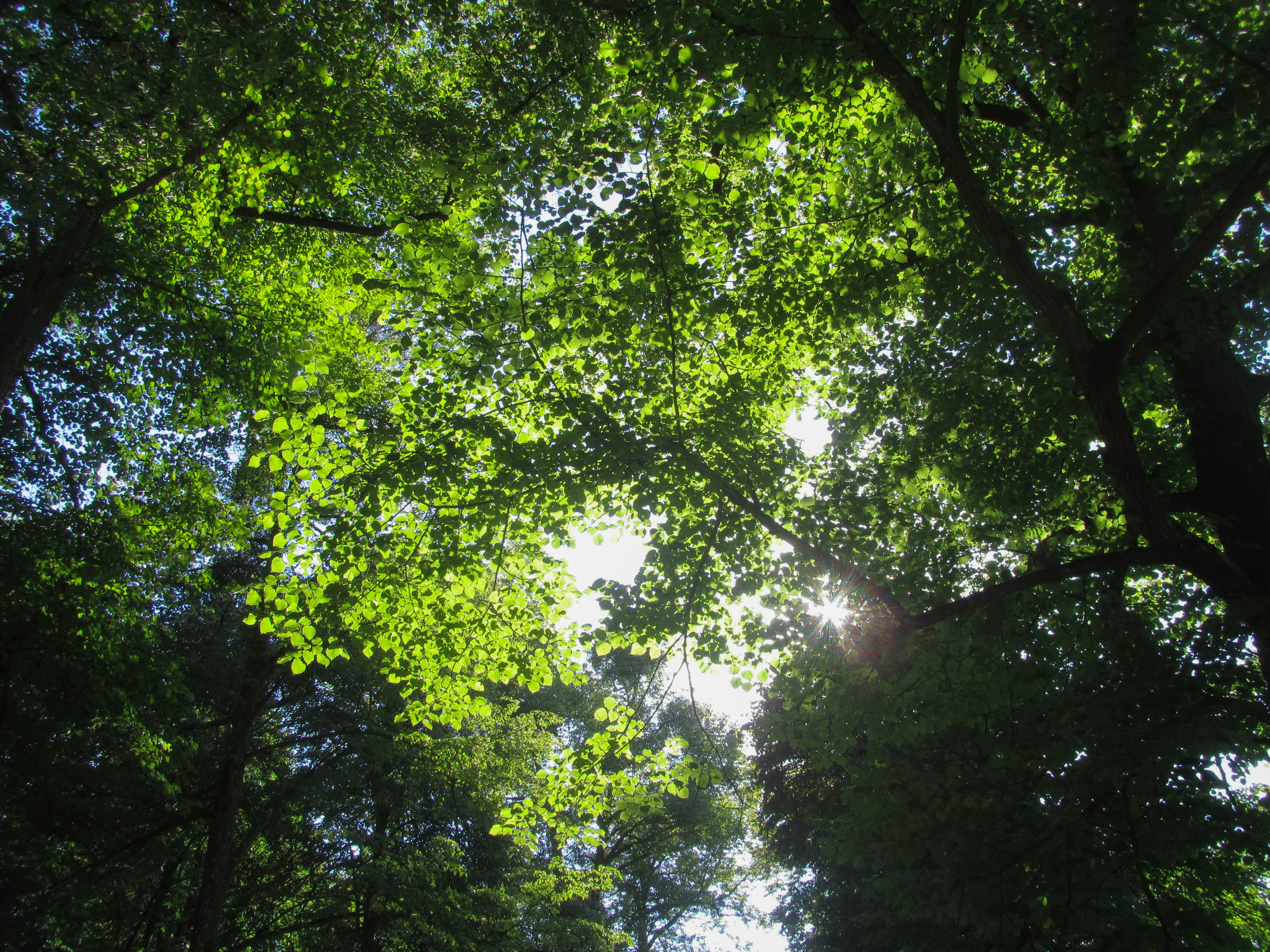 Photo by raunaqpatel